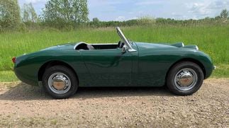 Picture of 1960 Austin Healey Sprite