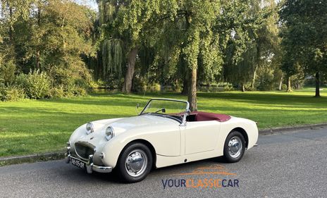 Picture of 1959 Austin Healey Sprite Frogeye in top condition. - For Sale