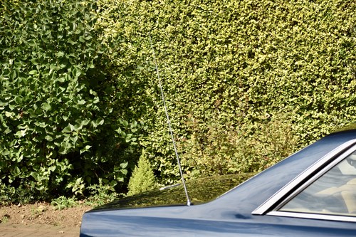 1980 Ferrari 400 GTi Manual For Sale (picture 114 of 197)