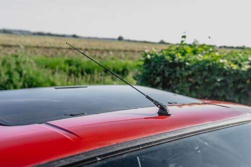 1984 Alfa Romeo 33 Series 1 Green Cloverleaf En venta (imagen 129 de 168)