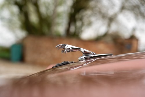 1994 Jaguar XJS 4.0 For Sale (picture 72 of 144)