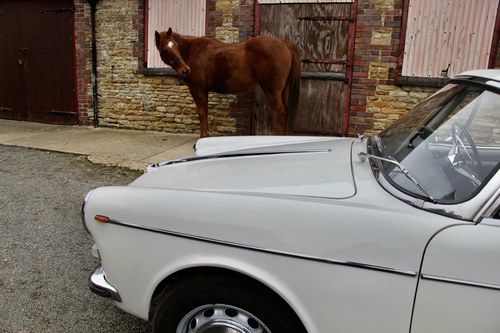 1965 Alfa Romeo 2600 Berlina à venda (imagem 88 de 134)