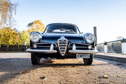 1961 Alfa Romeo Giulietta Spider In vendita (immagine 45 di 193)