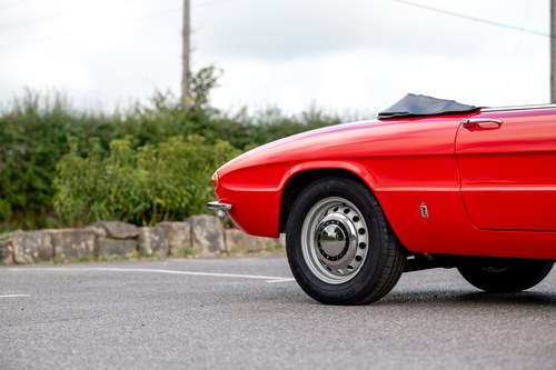 1967 Alfa Romeo Duetto For Sale (picture 109 of 156)