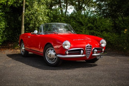 1963 Alfa Romeo Giulia Spider LHD zum Verkauf (Bild 8 von 307)