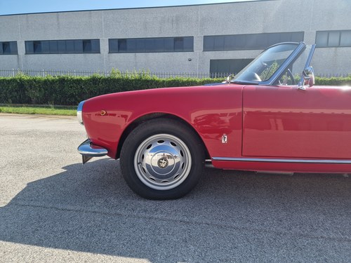 1964 Alfa Romeo Giulia Spider à vendre (picture 38 of 120)
