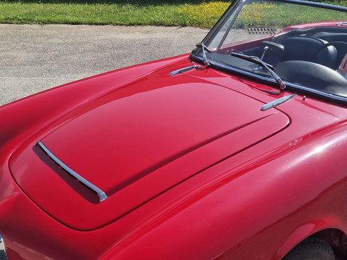 1964 Alfa Romeo Giulia Spider à vendre (picture 80 of 120)