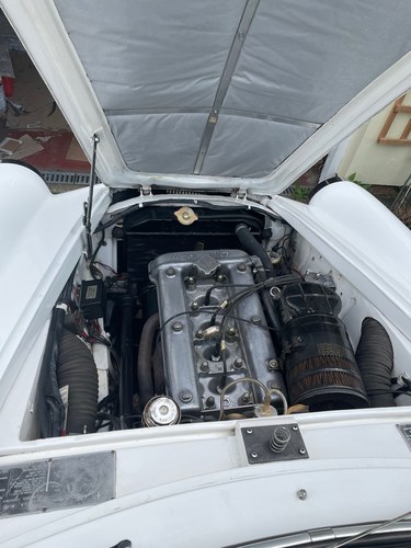 1960 Alfa Romeo Giulietta Sprint For Sale (picture 114 of 207)