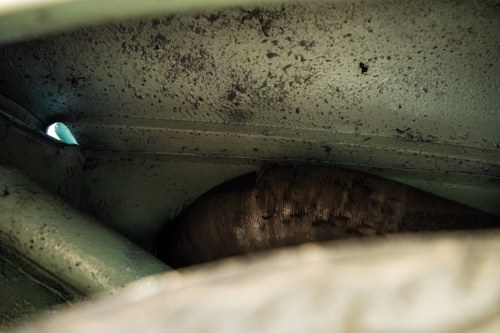 1962 Alfa Romeo Giulietta Type 101 TI In vendita (immagine 180 di 183)