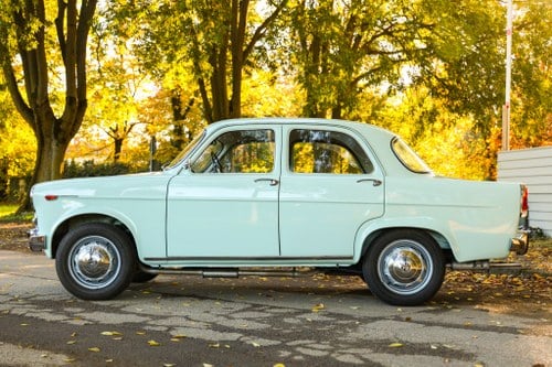 1962 Alfa Romeo Giulietta Type 101 TI In vendita (immagine 6 di 183)