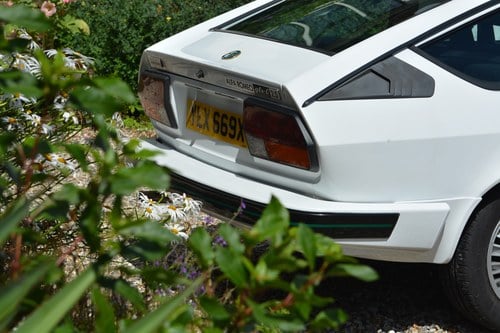 1982 Alfa Romeo GTV6 For Sale (picture 41 of 125)