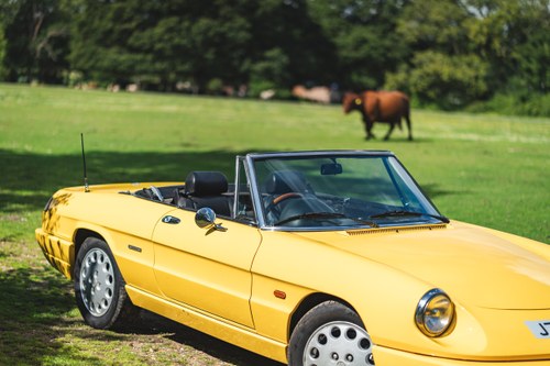 1992 Alfa Romeo Spider S4 à vendre (picture 68 of 120)