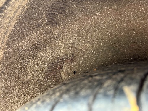 1984 Alfa Romeo Spider Veloce (LHD) In vendita (immagine 230 di 242)