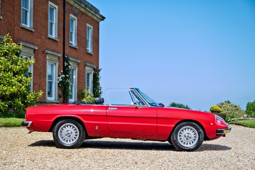 1977 Alfa Romeo Spider à vendre (picture 4 of 165)