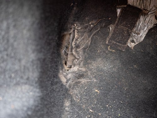 1991 Alfa Romeo Spider En venta (imagen 76 de 250)