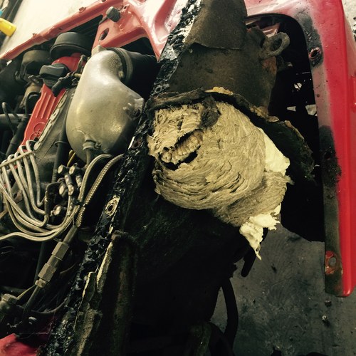 1987 Audi Quattro UR à vendre (picture 133 of 143)