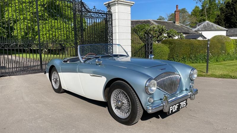 NO RESERVE - 1955 Austin Healey 100/4 BN1 For Sale (picture 1 of 127)