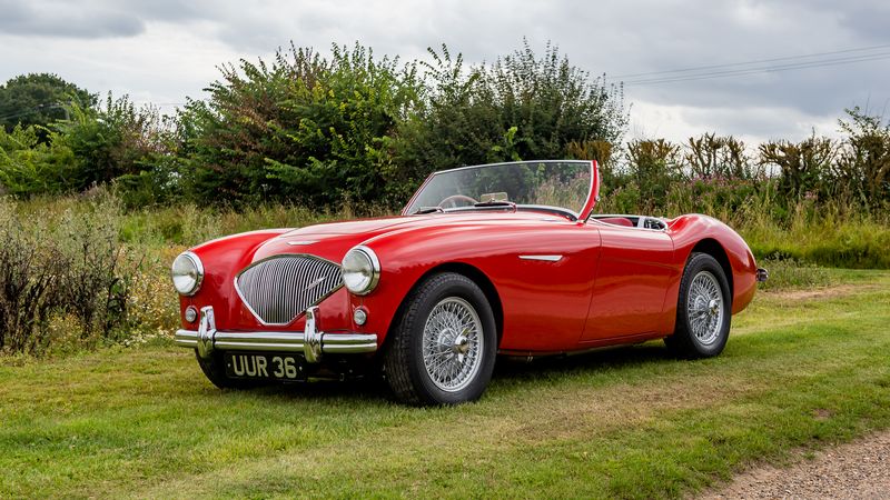 1955 Austin Healey 100/4 For Sale (picture 1 of 82)