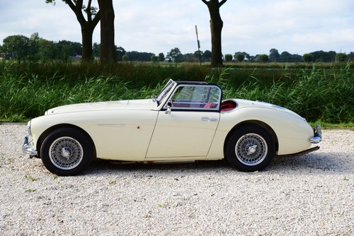 1959 Austin Healey 100/6 (LHD) In vendita (immagine 2 di 81)