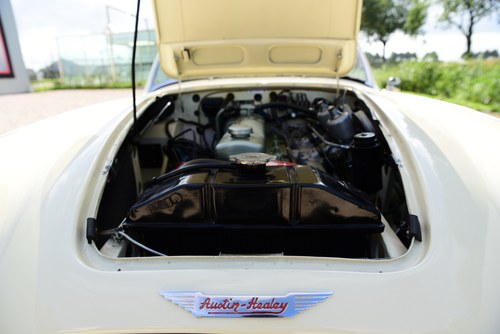 1959 Austin Healey 100/6 (LHD) In vendita (immagine 62 di 81)
