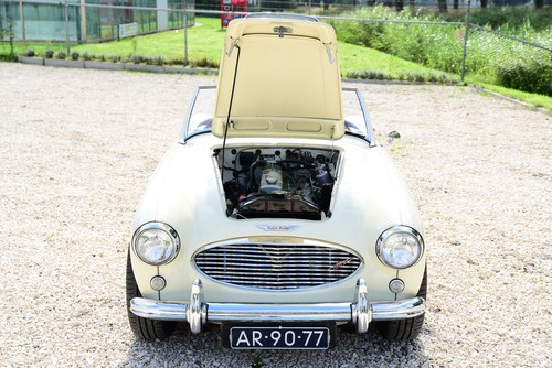1959 Austin Healey 100/6 (LHD) In vendita (immagine 53 di 81)