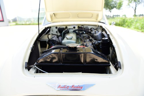 1959 Austin Healey 100/6 (LHD) In vendita (immagine 48 di 81)