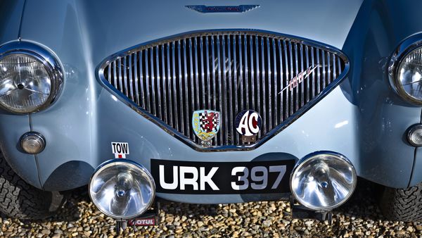 1955 Austin-Healey BN1 100M "Le Mans" For Sale (picture :index of 46)