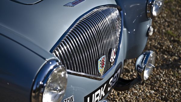 1955 Austin-Healey BN1 100M "Le Mans" For Sale (picture :index of 47)