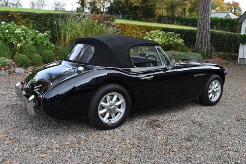 1962 Austin Healey 3000 MK2 BJ7 zum Verkauf (Bild 27 von 96)
