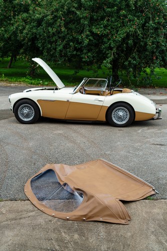 1960 Austin Healey 3000 Mk1 BT7 2+2 zum Verkauf (Bild 10 von 106)
