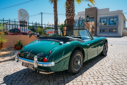 1965 Austin Healey 3000 In vendita (immagine 5 di 262)