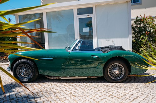 1965 Austin Healey 3000 In vendita (immagine 10 di 262)