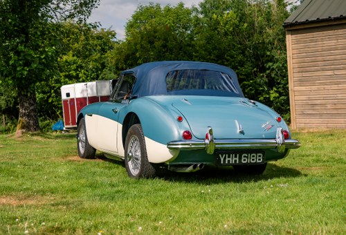 1964 Austin Healey BJ8 In vendita (immagine 15 di 135)