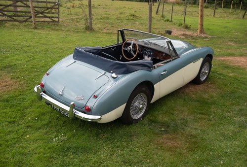 1964 Austin Healey BJ8 In vendita (immagine 6 di 135)