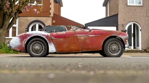 1954 Austin-Healey 100/4 In vendita (immagine 4 di 159)