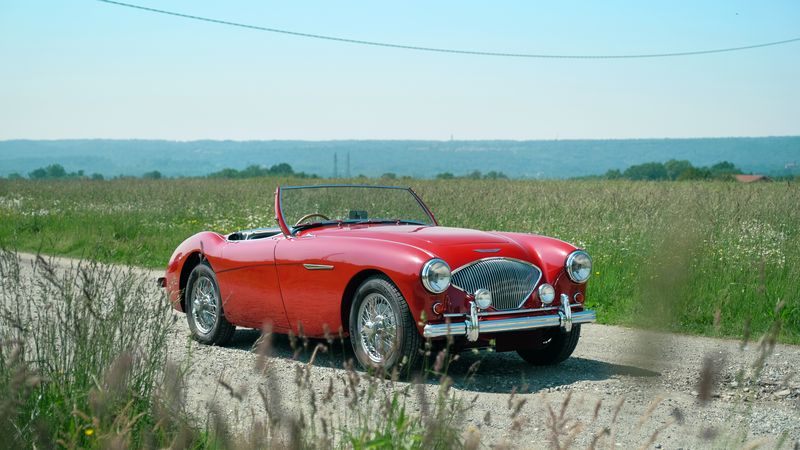 1954 Austin Healey BN1 For Sale (picture 1 of 133)