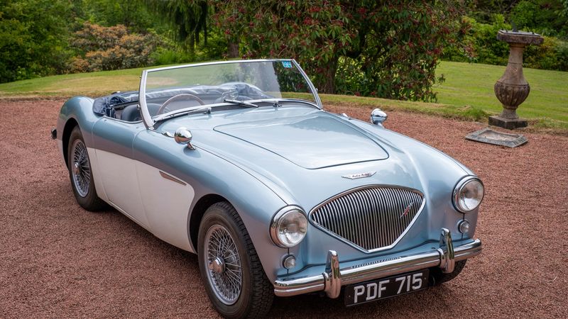 1955 Austin Healey 100/4 BN1 For Sale (picture 1 of 126)