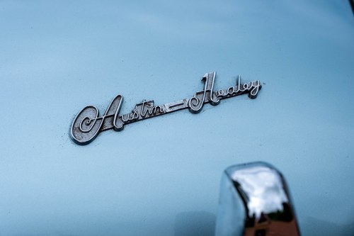 1955 Austin Healey 100/4 BN1 à vendre (picture 81 of 125)