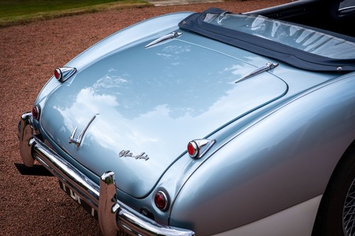 1955 Austin Healey 100/4 BN1 à vendre (picture 84 of 125)