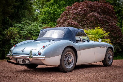 1955 Austin Healey 100/4 BN1 à vendre (picture 12 of 125)