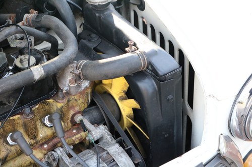 1989 Austin Rover Mini Rose Only 500 Made For Sale (picture 79 of 103)