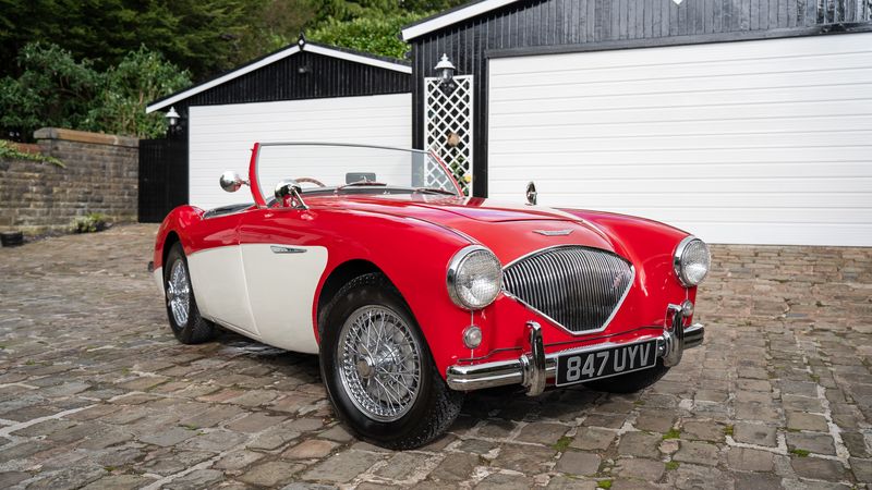 1954 Austin Healey 100/4 with M-Spec Upgrades For Sale (picture 1 of 174)
