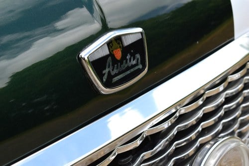 1979 Austin Mini City (Cooper Special) In vendita (immagine 53 di 94)