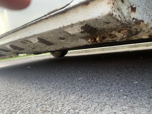 1968 Austin Mini Cooper Rally In vendita (immagine 62 di 85)