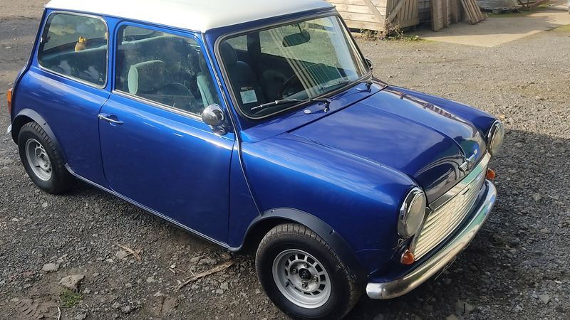 1983 Austin Mini Mayfair For Sale (picture 1 of 29)