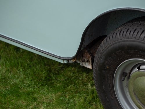 1974 Austin Mini In vendita (immagine 173 di 284)