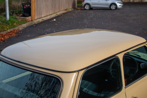 1982 Austin Morris Mini HL 998cc In vendita (immagine 70 di 163)