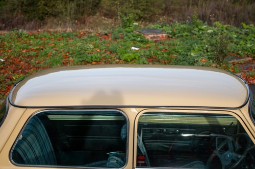 1982 Austin Morris Mini HL 998cc In vendita (immagine 71 di 163)