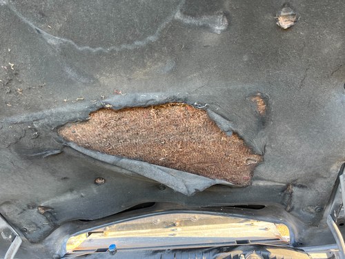 1996 Bentley Azure (LHD) Te koop (foto 149 van 169)