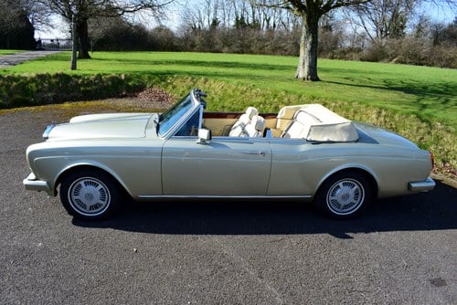 1985 Bentley Continental Convertible à venda (imagem 11 de 102)